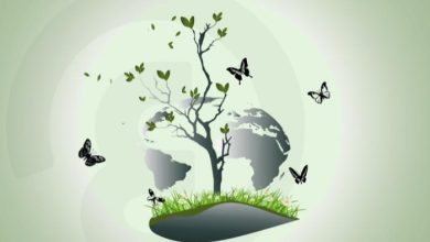 أهداف اليوم العالمي للبيئة
