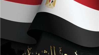 مقدمه عن يوم الشهيد المصري