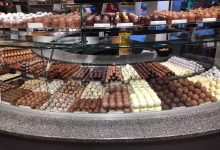 اسماء محلات شوكولاتة في بلجيكا