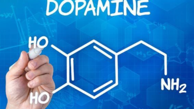 هل عقار الدوبامين الي تغير  في وظائف الجسم