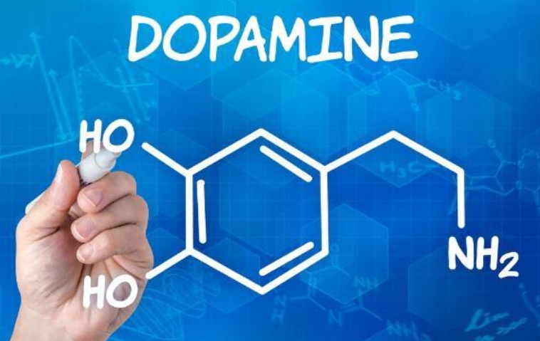 هل الدوبامين يغير في وظائف الجسم وطرق تحسين إفرازه