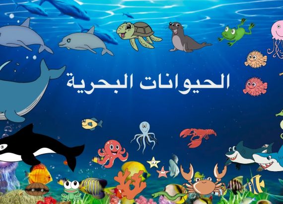 اسئلة عن الحيوانات البحرية