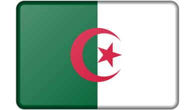 مشروع مربح من البيت في الجزائر