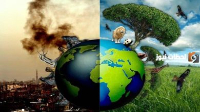 اذاعة عن اليوم العالمي للبيئة