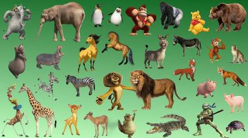 اسئلة عن الحيوانات بالانجليزية