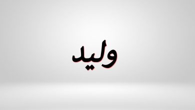 دلع اسم وليد 