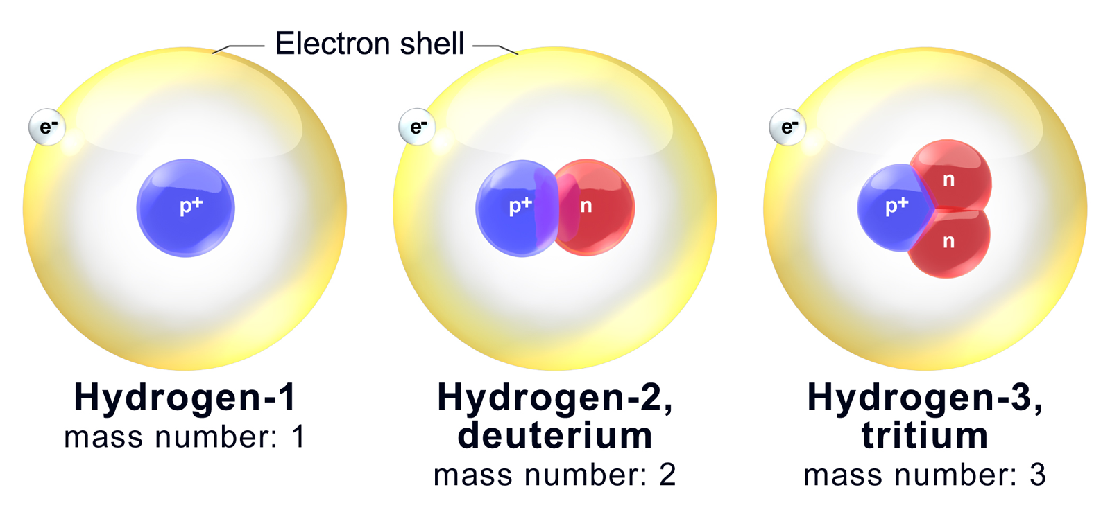 النظائر هي ذرات العنصر نفسه ولها عدد البروتونات نفسه