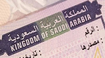 الاستعلام عن زياره عائليه برقم الجواز – منصة التأشيرات وزارة الخارجية
