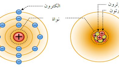 الجسيمات موجبة الشحنه في نواة الذره