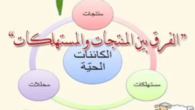 اي من العبارات الاتيه صحيح فيما يخص الكائنات الحيه المنتجه