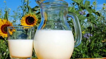 أفضل أنواع الحليب لزيادة الوزن للبنات والشباب