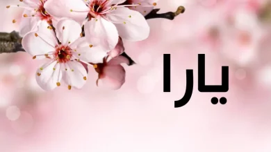 دلع اسم يارا 