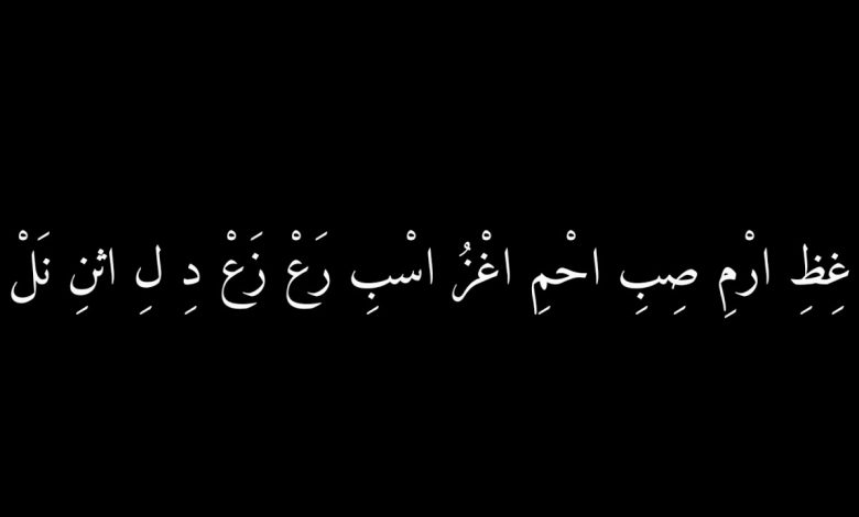 اصعب بيت شعر للمتنبي