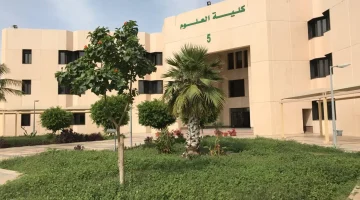 تخصصات جامعة الملك عبدالعزيز رابغ