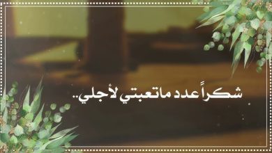 شعر عن معلمتي