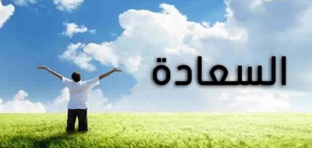 مفهوم السعادة الحقيقية