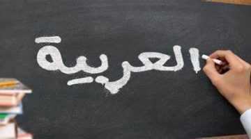 كلمة عن اللغة العربية 2024 