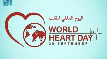 تعرف على موعد اليوم العالمي للقلب.. نصائح للوقاية من الأمراض القلبية