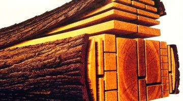 أنواع الخشب الطبيعي وأفضل 5 أخشاب لصناعة المطابخ 2024