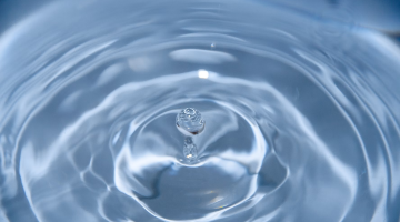 اليوم العالمي للمياه: تعزيز الوعي حول أهمية الماء للحياة