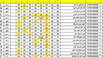 “مبروك” رابط الاستعلام عن نتائج الثالث المتوسط في العراق 2024