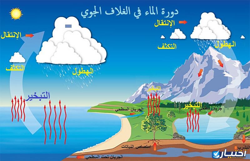 ما هي دورة الماء في الطبيعة